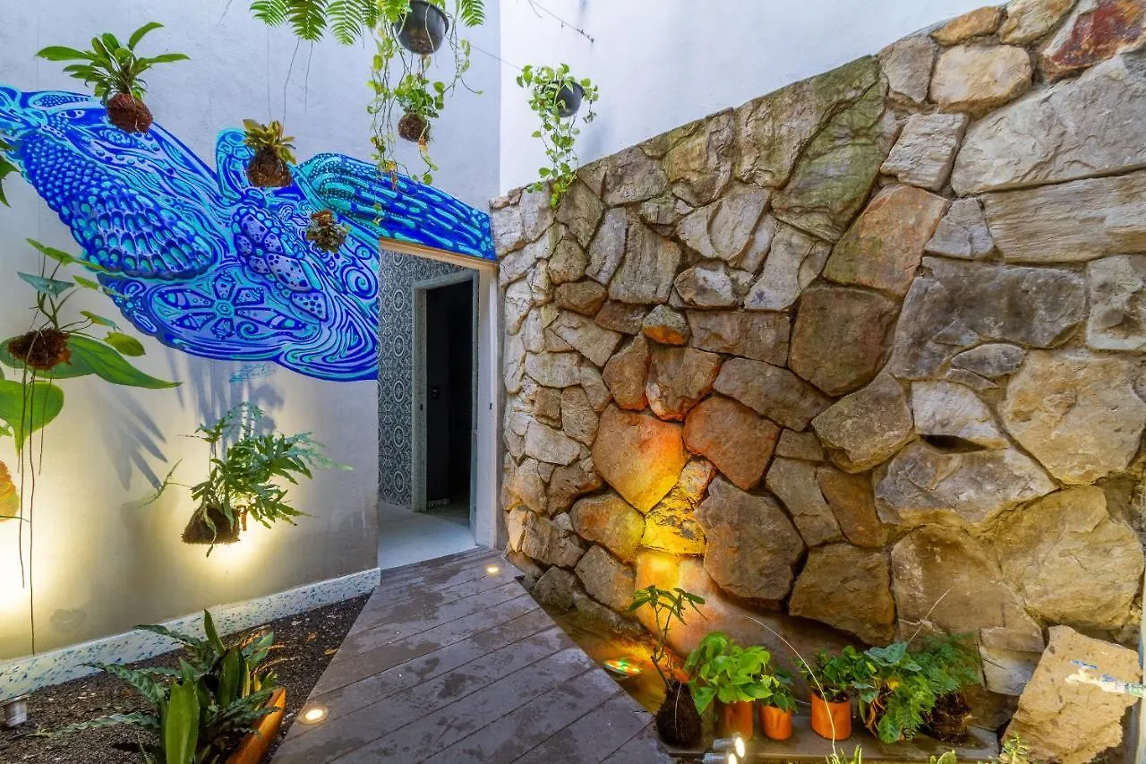 Akasha ● Ecohost & Walking Distance To Downtown Bed and Breakfast Guadalajara