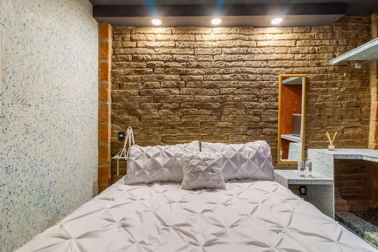 瓜达拉哈拉Akasha ● Ecohost & Walking Distance To Downtown住宿加早餐旅馆 墨西哥